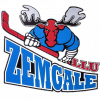HK_Zemgale-LLU_logo.png